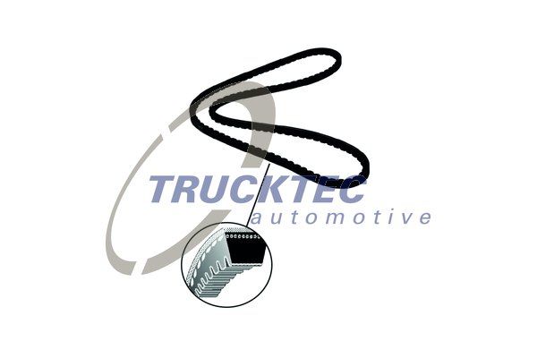 TRUCKTEC AUTOMOTIVE Kiilrihmad 01.19.184